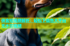 侠客短视频解析：轻松下载各大平台无水印视频