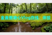 金善雅糖心Vlog在线：体验