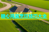 糖心鸡蛋烹饪技巧大全