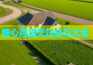 糖心鸡蛋烹饪技巧大全