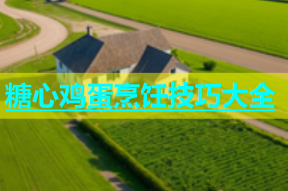 糖心鸡蛋烹饪技巧大全