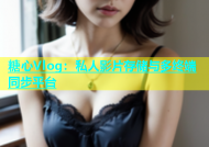 糖心Vlog：私人影片存储与多终端同步平台