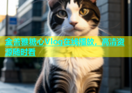 金善雅糖心Vlog在线播放，高清资源随时看