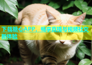下载糖心APP，畅享直播与视频社交新体验