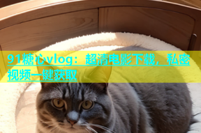 91糖心vlog：超清电影下载，私密视频一键获取