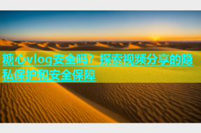 糖心vlog安全吗？探索视频分享的隐私保护和安全保障