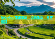 糖心vlog在线资源：记录生活，分享精彩