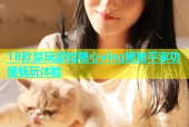 18款禁玩游戏糖心vlog揭秘平家功能畅玩体验