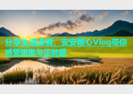 分享生活点滴，安安糖心Vlog带你感受甜蜜与正能量