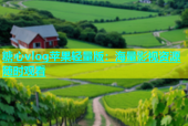 糖心vlog苹果轻量版：海量影视资源随时观看