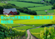 糖心vlog苹果轻量版：海量影视资源随时观看