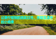 记录柠檬猫的搞笑日常，体验生活中的小确幸