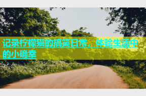 记录柠檬猫的搞笑日常，体验生活中的小确幸