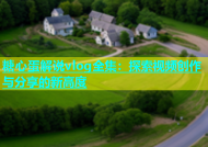 糖心蛋解说vlog全集：探索视频创作与分享的新高度