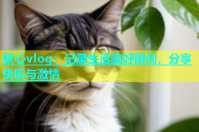 糖心vlog：记录生活美好瞬间，分享快乐与激情
