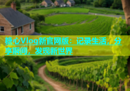 糖心Vlog新官网版：记录生活，分享瞬间，发现新世界