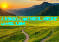 金善雅糖心vlog喝醉瞬间，短视频平台记录生活瞬间
