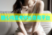 糖心鸡蛋煮时长查询平台