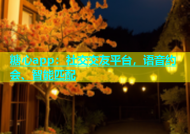 糖心app：社交交友平台，语音约会、智能匹配