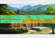 糖心vlog厕所探秘：揭秘卫生间隐秘细节与装修技巧