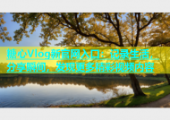 糖心Vlog新官网入口：记录生活，分享瞬间，发现更多精彩视频内容
