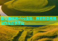 糖心蛋解说vlog全集：探索创意视频制作与分享平台