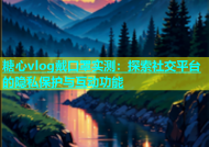 糖心vlog戴口罩实测：探索社交平台的隐私保护与互动功能