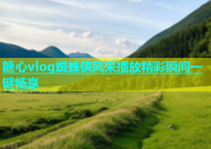 糖心vlog蜘蛛侠风采播放精彩瞬间一键畅享