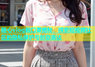 糖心vlog戴口罩揭秘，探索短视频社区的隐私保护与创意表达
