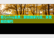 糖心vlog会员：解锁独家内容，享受超值福利