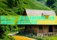 糖心vlog：记录生活美好瞬间，分享甜蜜时刻，激发创意灵感