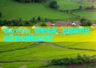 糖心Vlog：甜蜜诱惑，扫码即刻开启你的专属私密影院