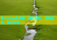 糖心vlog安全码，保护隐私，增强安全，轻松分享