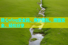 糖心vlog安全码，保护隐私，增强安全，轻松分享