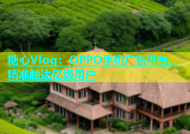 糖心Vlog：OPPO手机广告平台，精准触达亿级用户