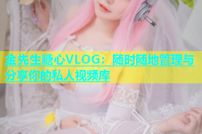 金先生糖心VLOG：随时随地管理与分享你的私人视频库