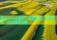 糖心vlog小包子：记录生活，分享精彩，社交互动无限