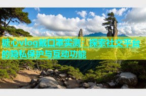 糖心vlog戴口罩实测：探索社交平台的隐私保护与互动功能
