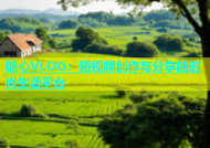 糖心VLOG：短视频创作与分享的时尚生活平台