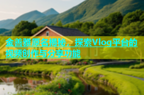 金善雅原名揭秘，探索Vlog平台的视频创作与分享功能