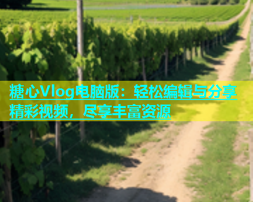 糖心Vlog电脑版：轻松编辑与分享精彩视频，尽享丰富资源  第1张