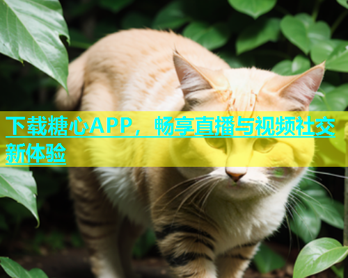 下载糖心APP，畅享直播与视频社交新体验  第1张
