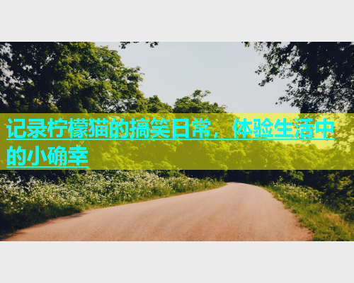 记录柠檬猫的搞笑日常，体验生活中的小确幸  第1张