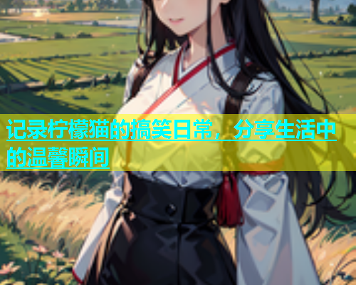 记录柠檬猫的搞笑日常，分享生活中的温馨瞬间  第1张