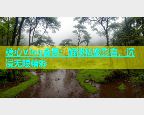 糖心Vlog会员：解锁私密影音，沉浸无限精彩  第1张