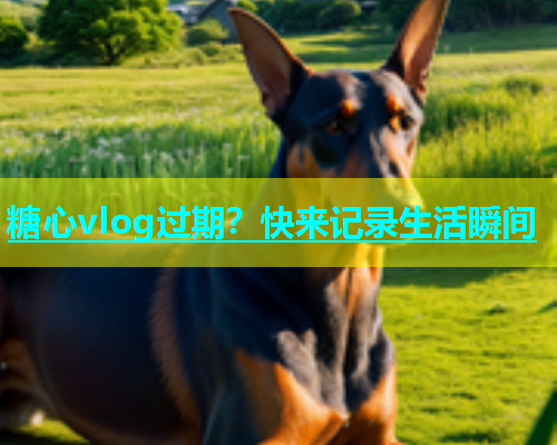 糖心vlog过期？快来记录生活瞬间  第1张