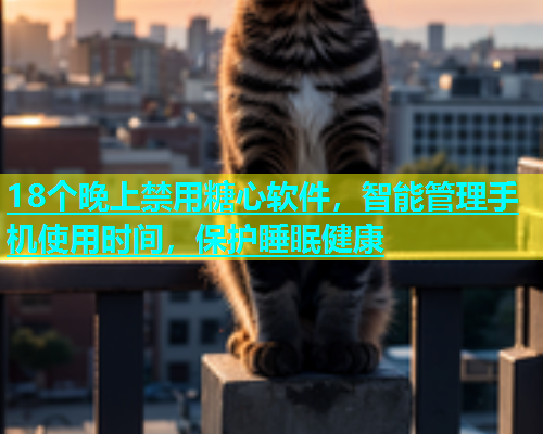 18个晚上禁用糖心软件，智能管理手机使用时间，保护睡眠健康  第1张