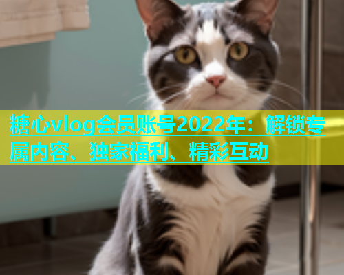 糖心vlog会员账号2022年：解锁专属内容、独家福利、精彩互动  第2张