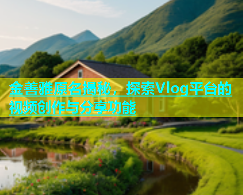 金善雅原名揭秘，探索Vlog平台的视频创作与分享功能  第1张