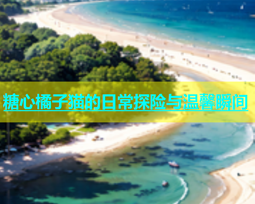 糖心橘子猫的日常探险与温馨瞬间  第1张